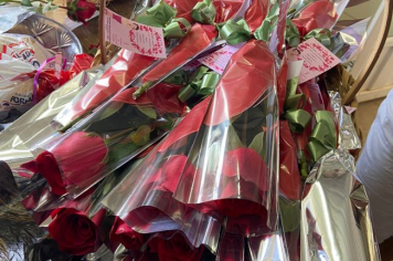 Foto - Dia Internacional da Mulher